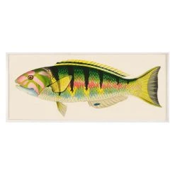 Jonathan Adler Print Bennet Fish 3