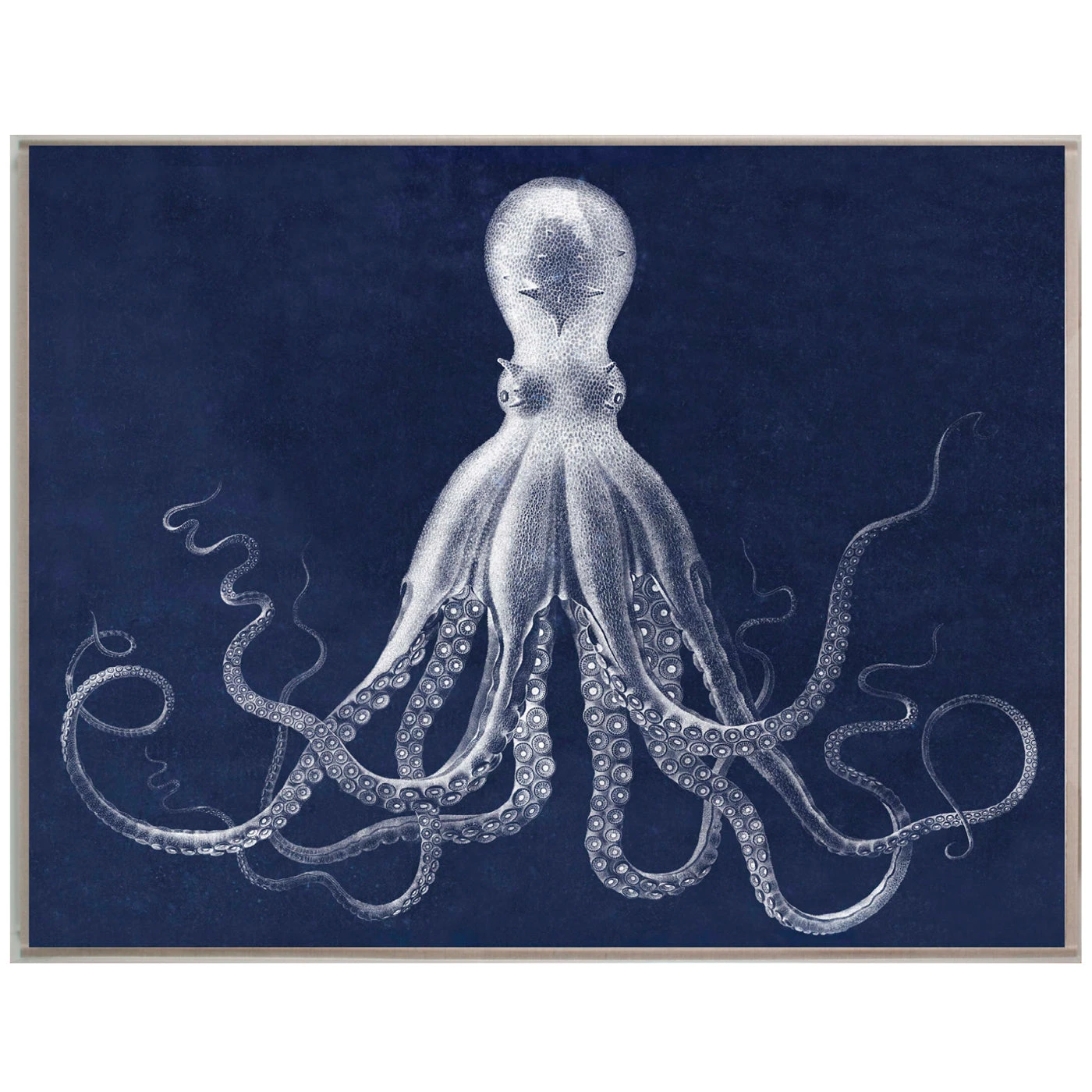 Jonathan Adler Lord Bodner 3 Jonathan Adler Lord Bodner