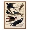 Jonathan Adler Gallivani Birds 1 Print