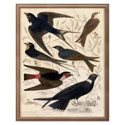 Jonathan Adler Gallivani Birds 1 Print