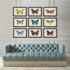 Jonathan Adler Hubbard Butterfly, Small: 1010