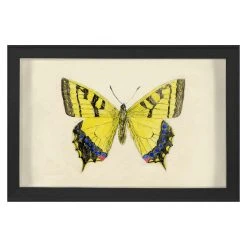 Jonathan Adler Hubbard Butterfly, Small: 1010