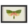 Jonathan Adler Hubbard Butterfly, Small: 146 Print