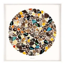 Jonathan Adler Metamorphic Print