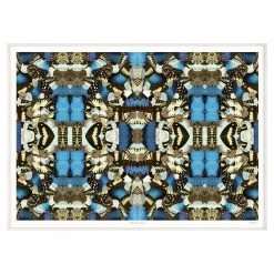Jonathan Adler Morpho Emperor Peleides Print