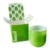 Jonathan Adler Basil Pop Candle Candles & Candle Holders