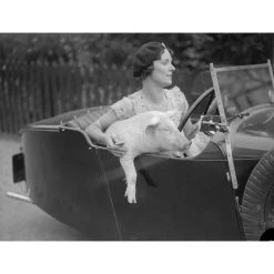 Jonathan Adler Photography "1st Class Travel" From Getty Images