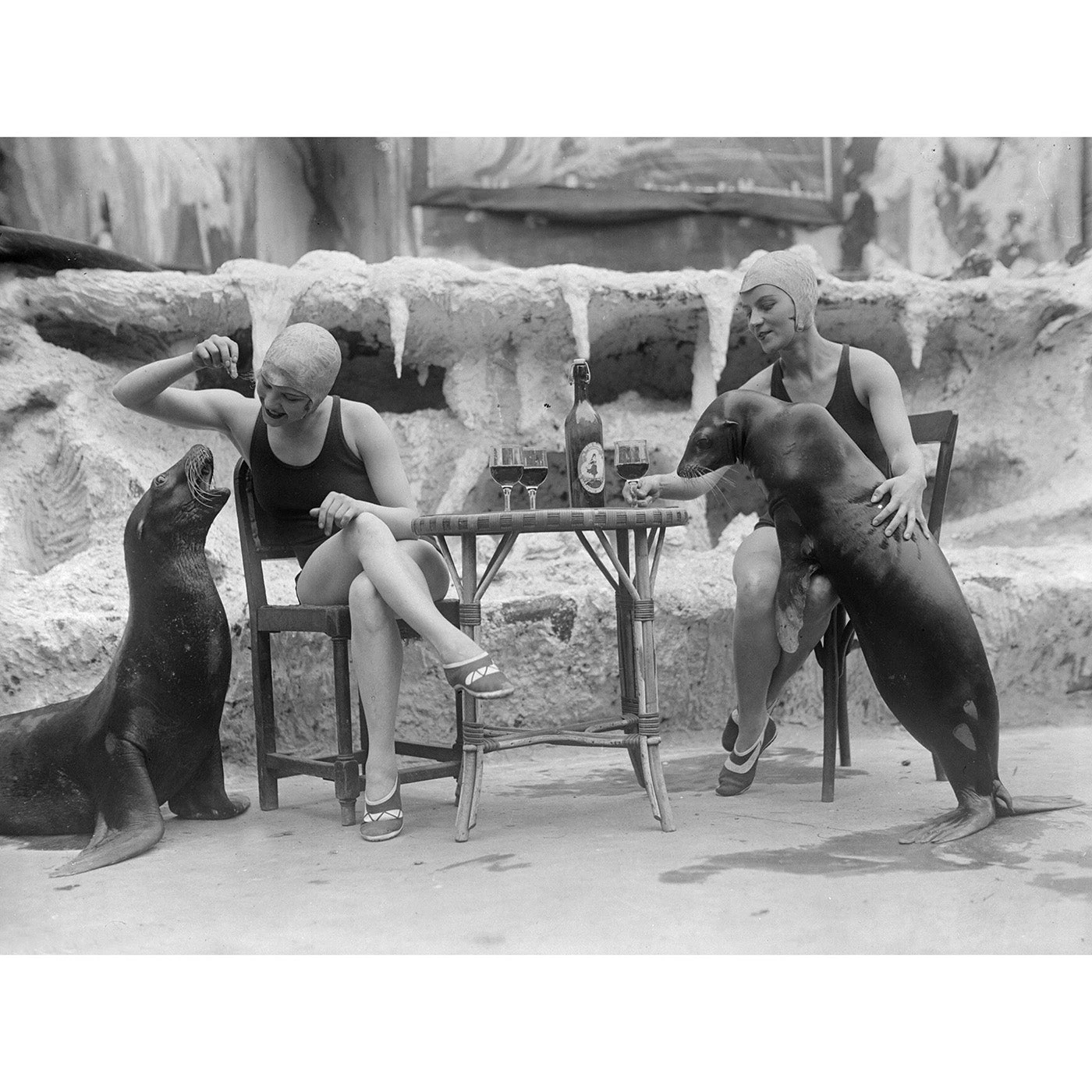 Jonathan Adler Photography "Animal Friends" From Getty Images 3 Jonathan Adler Photography "Animal Friends" From Getty Images