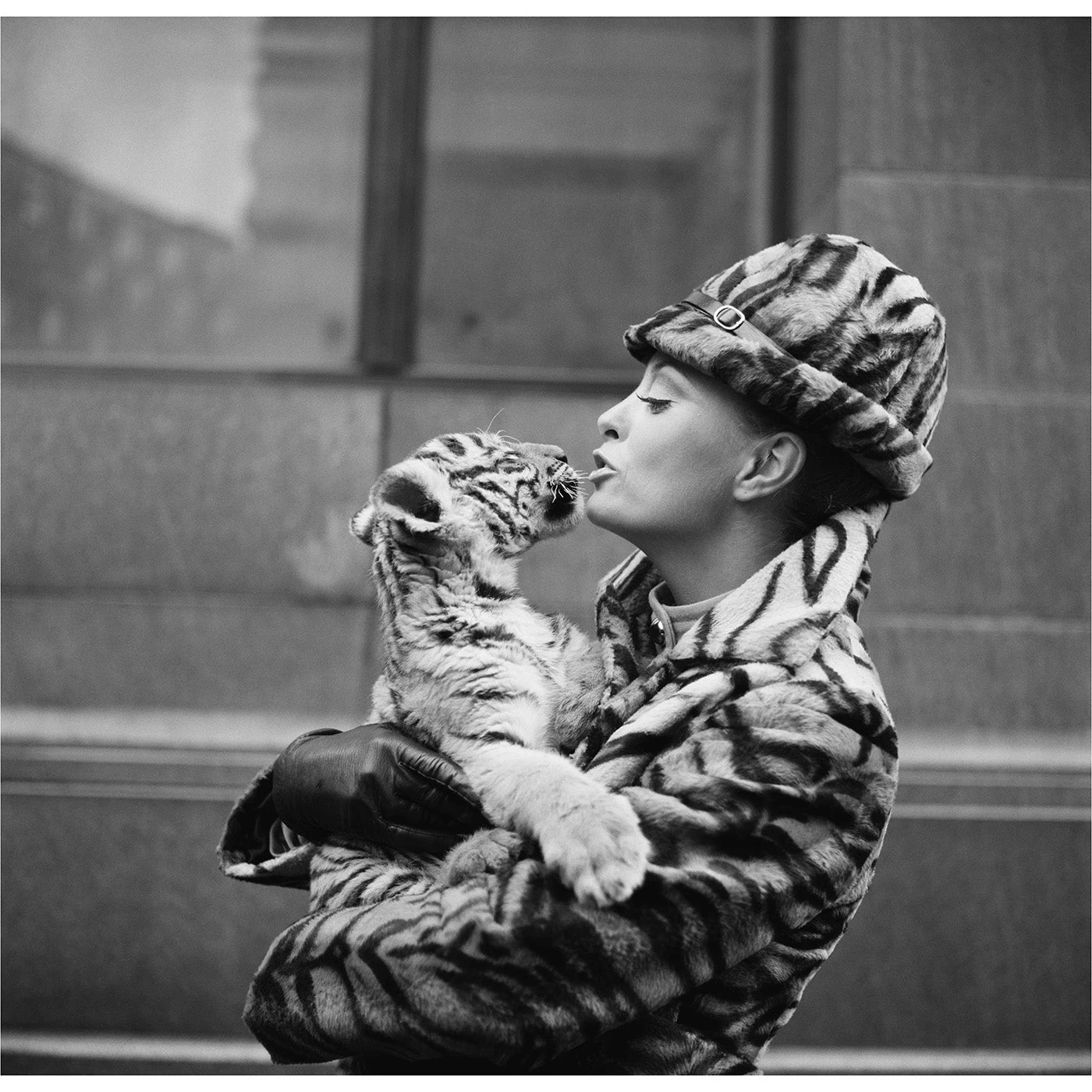 Jonathan Adler "Tiger Lady" From Getty Images Photography 3 Jonathan Adler "Tiger Lady" From Getty Images Photography