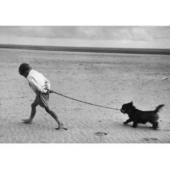 Jonathan Adler "Walking The Dog" From Getty Images Photography