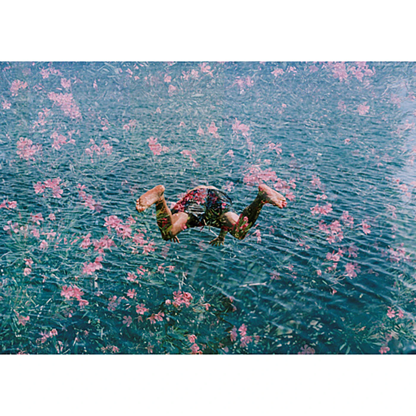 Jonathan Adler "Diving Into Pink Flowers" From Getty Images Photography 3 Jonathan Adler "Diving Into Pink Flowers" From Getty Images Photography